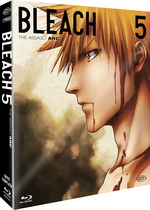 Bleach (First Press) Bleach (First Press)